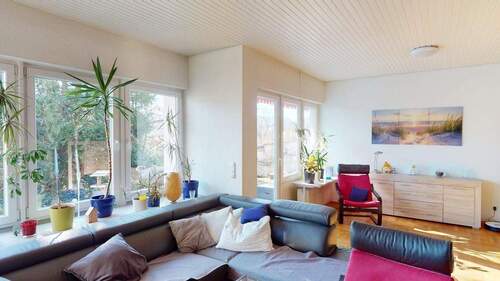 Wohnen mit viel Licht - 