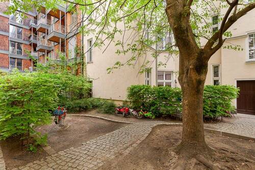 Hinterhof - 