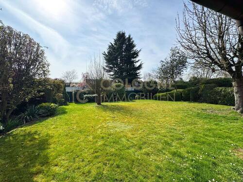 Toller Gartenbereich - 