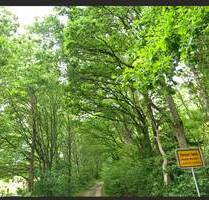 #PREIS AUF 105,-€ PRO QM²GESENKT#Bauland für 2 Wohneinheiten# - Dierstorf Heide (Wenzendorf) Dierstorf-Heide