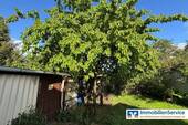Kirschbaum - 