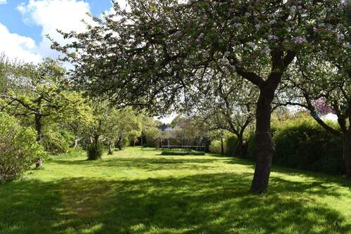 Garten - Baugrundstück mit vielen Optionen (Tiny House, Mehrfamilienhaus etc.) zu verkaufen!