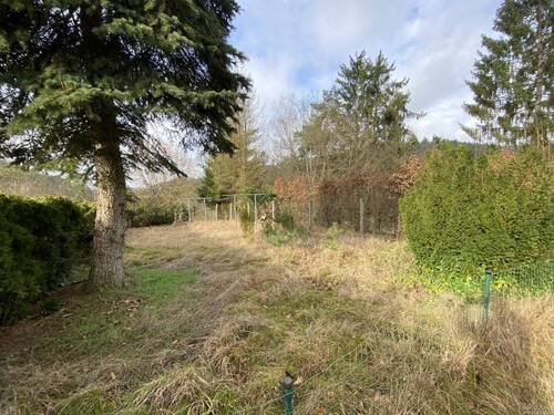 Garten - 