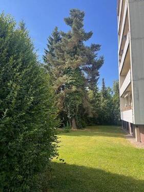 Sehr angenehme Lage. - 