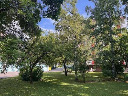 Nachbarn treffen sich hier - 