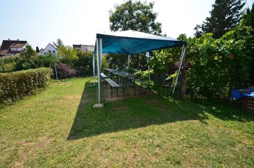 Gemeinschaftsgarten - 