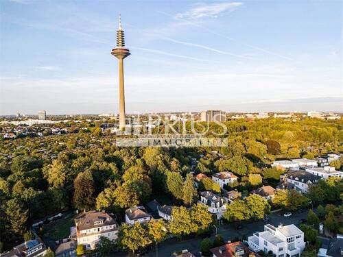 Immobilien_Prius_Drohne_Horizo - 