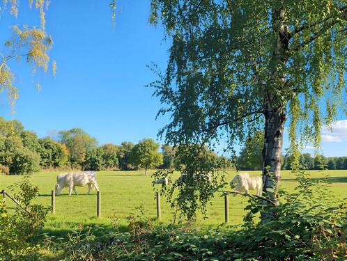 Einzigartiger Ausblick - Reihenmittelhaus mit 80,70 m&sup2; in Herten zum Kaufen