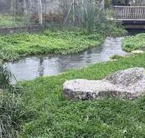 # Schnäpschen Preis # Einfamilienhaus in der malerischen Gemeinde - Thüngen