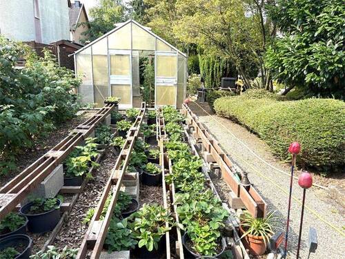 Gewächshaus im Garten - 