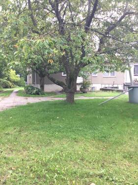 D0F0F4D0-E2E3-4BE7-8359-1CCD9B574A8A.jpeg - 