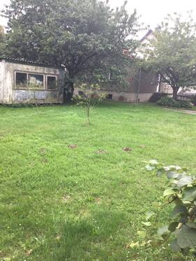 6AB88A96-765E-443B-813B-8716DBFAD3DD.jpeg - 