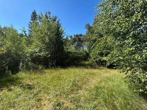 3031 Platz für Ihre Ideen - 