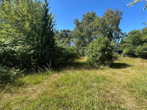 3031 Platz für neue Ideen - 