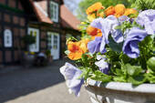 Bild 21 - 