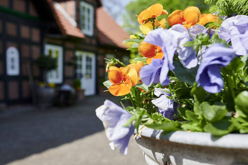 Bild 21 - 