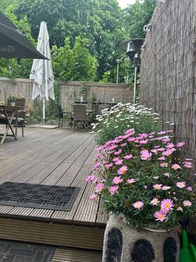 IMG_3688.jpeg - 