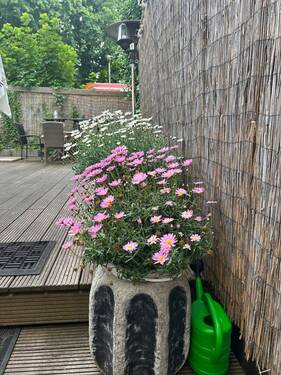 IMG_3689.jpeg - 