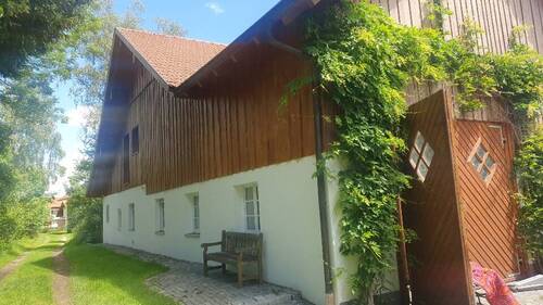 Blick von der Seite - 