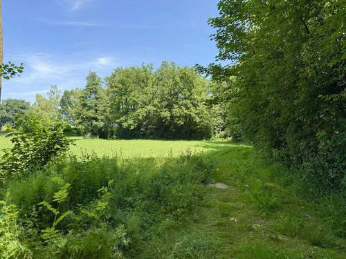 Garten - Grundstück in Kirchanschöring