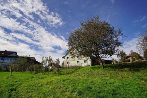 Bild 1 - Ruheoase für Kreative und Naturfreunde - Grundstück in Herdwangen-Schönach