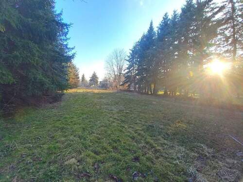 IMG-20250217-WA0019.jpg - 