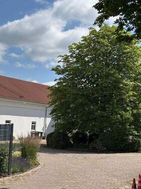Bild.jpg - 1 Zimmer Einfamilienhaus zum Kaufen in Niederwerrn