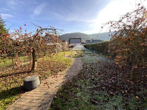 Blick über den Garten - 