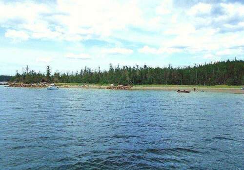 Sandstrand in der Nähe - 
