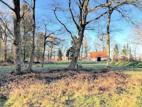 Bild 3 - Grundstück in Worpswede zum Kaufen