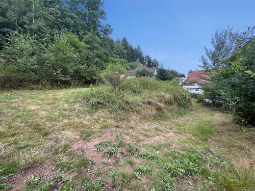 Garten - 