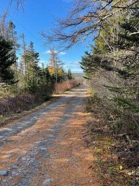 Somerset Drive Privatstraße - 