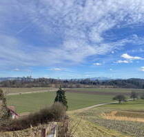 Modernes 6.5-Zimmer-Einfamilienhaus mit Traumaussicht - Hagenbuch