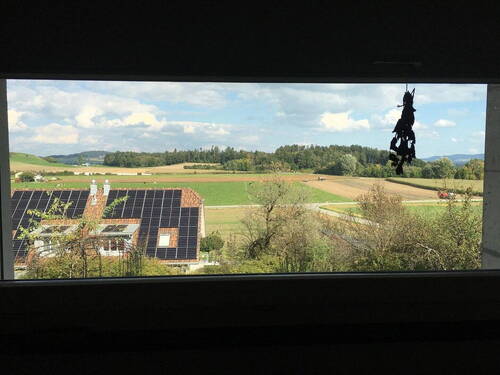 Aussicht Küche - 6 Zimmer Einfamilienhaus zum Kaufen in Hagenbuch
