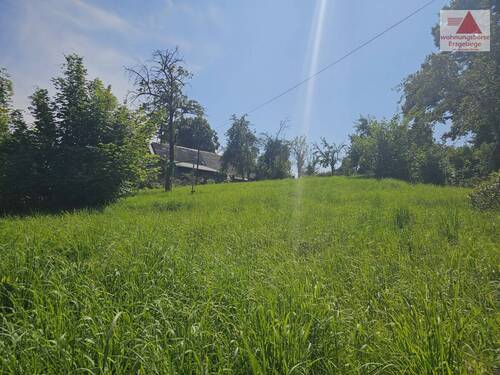 20250807_142133 - Grundstück zum Kaufen in Schwarzenberg/Erzgebirge / Neuwelt