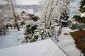 Gartenblick Winter - 