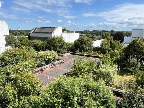 Ausblick - Top of Rodenkirchen: Urbanes Idyll in zentraler Ruhiglage