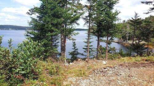 Grundstücksgrenze - Blick zum Wasser - 