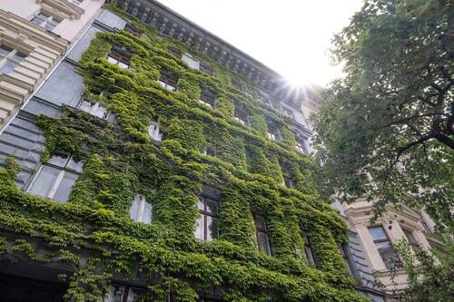 Hausansicht im Sommer - 