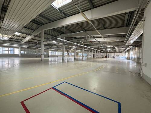 Halle B - 