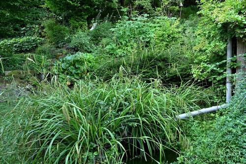 Wasser gibts - 