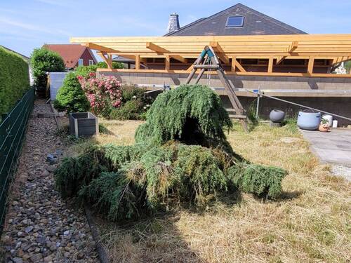 Garten - 