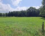 Vordere Weide (rechts).jpg - 