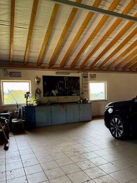 IMG_0215.jpeg - 