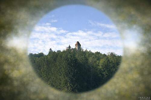 SP-25-KGBD-203 - Sanierungsobjekt in Erlenbach mit einzigartigem Blick auf Burg Berwartstein