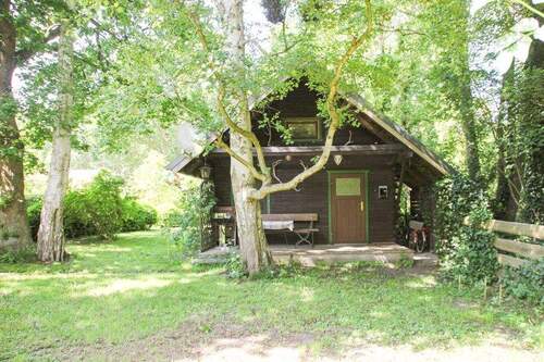 Terrasse Südansicht Haus - Natur-Oase in Prerow - 295.000,00&nbsp;EUR Kaufpreis, ca.&nbsp; 82,00&nbsp;m&sup2;&nbsp;Wohnfl&auml;che