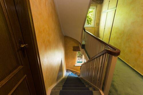 Timeless Elegance - 