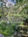 Erdgeschoss - 
