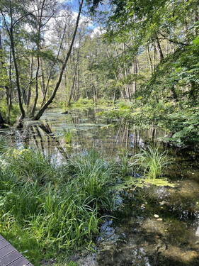 Erdgeschoss - 