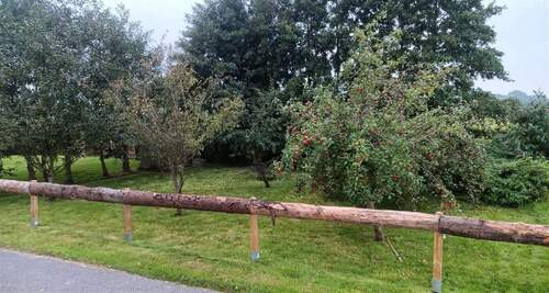 243 qm Gartenland mit Obstäumen - Grundstück in Wittmund zum Kaufen